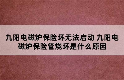 九阳电磁炉保险坏无法启动 九阳电磁炉保险管烧坏是什么原因